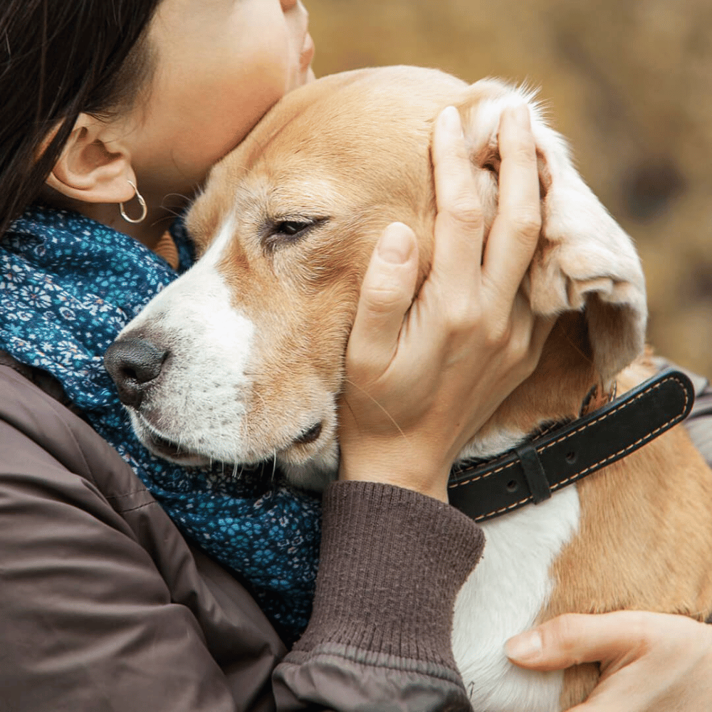 A woman giving a dog a hug