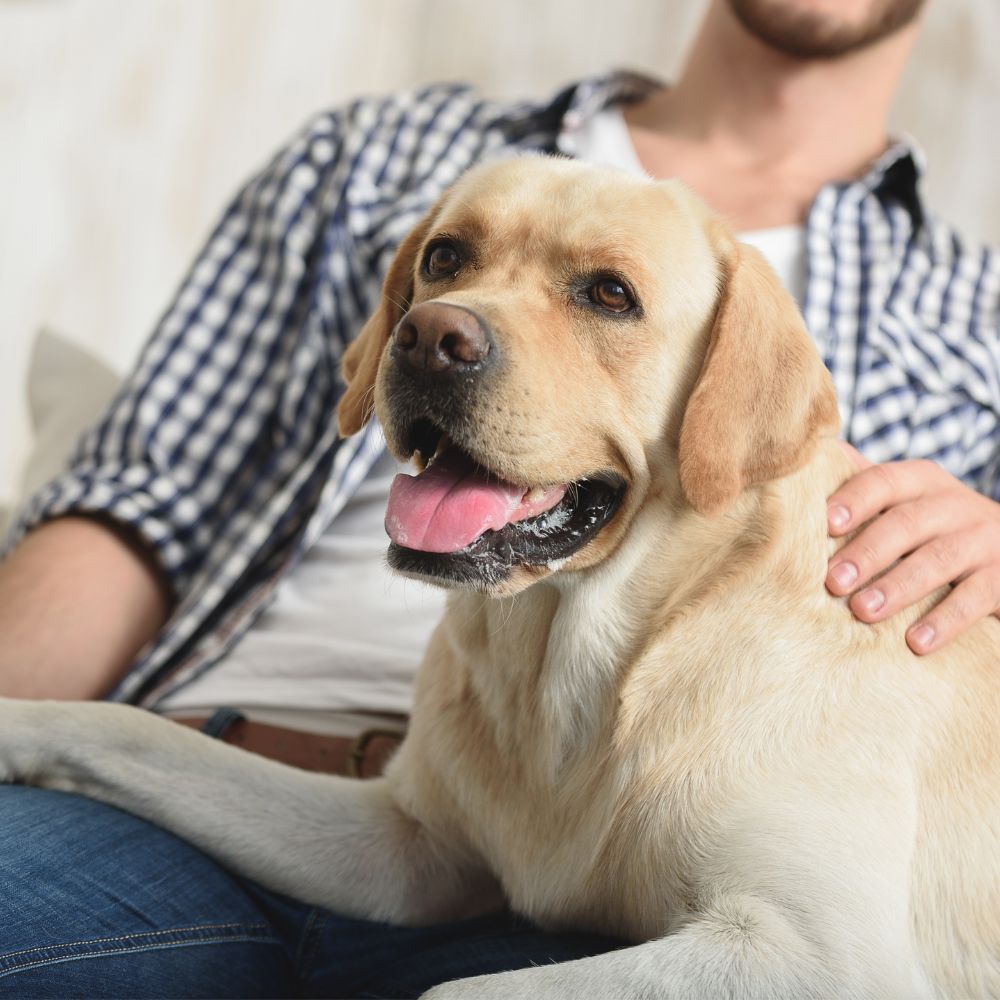 A man sits comfortably on a couch, accompanied by a dog