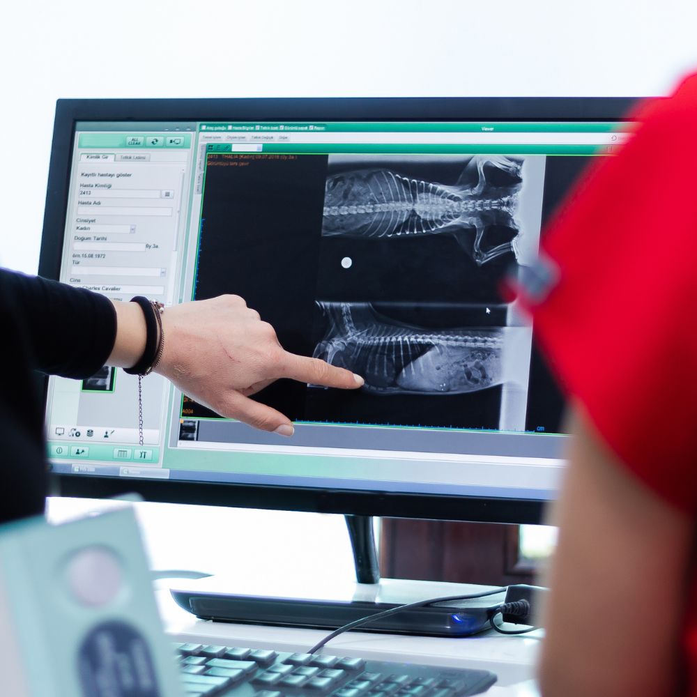 A woman points at a computer screen displaying an X-ray image